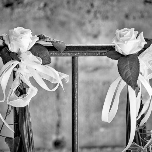 Fleurs en noir et blanc. Décoration de mariage