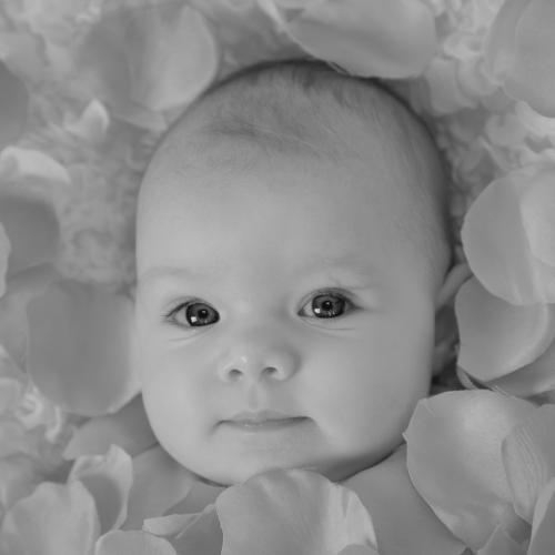 Portrait de bébé en studio à Saint André sur Orne