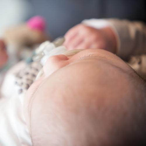 Portrait de bébé en studio à Caen